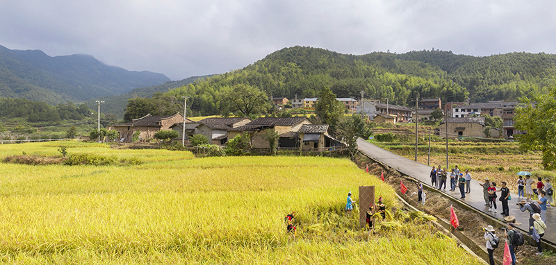2.村溪村全景图7.jpg