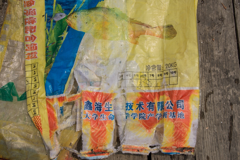 04.jpg